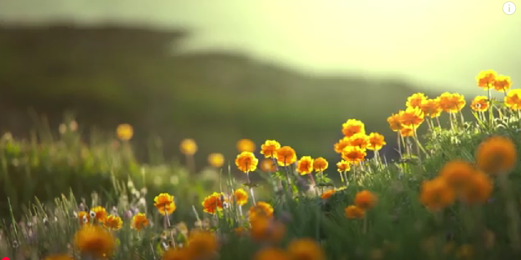 AI Technology Innovation